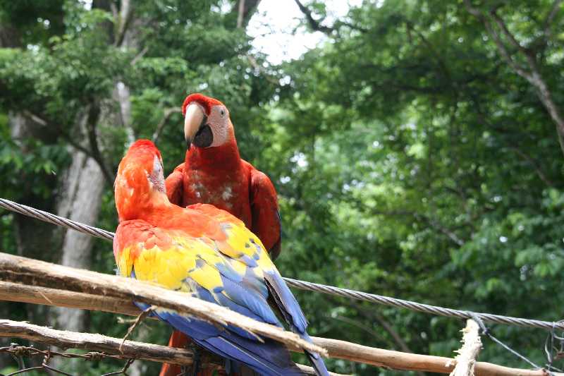 Mexico & Guatemala 2010 - 0900